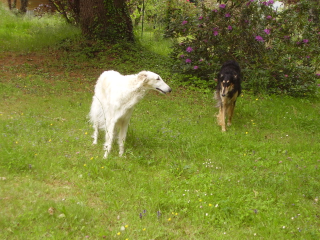 Aufregendes Wochenende...